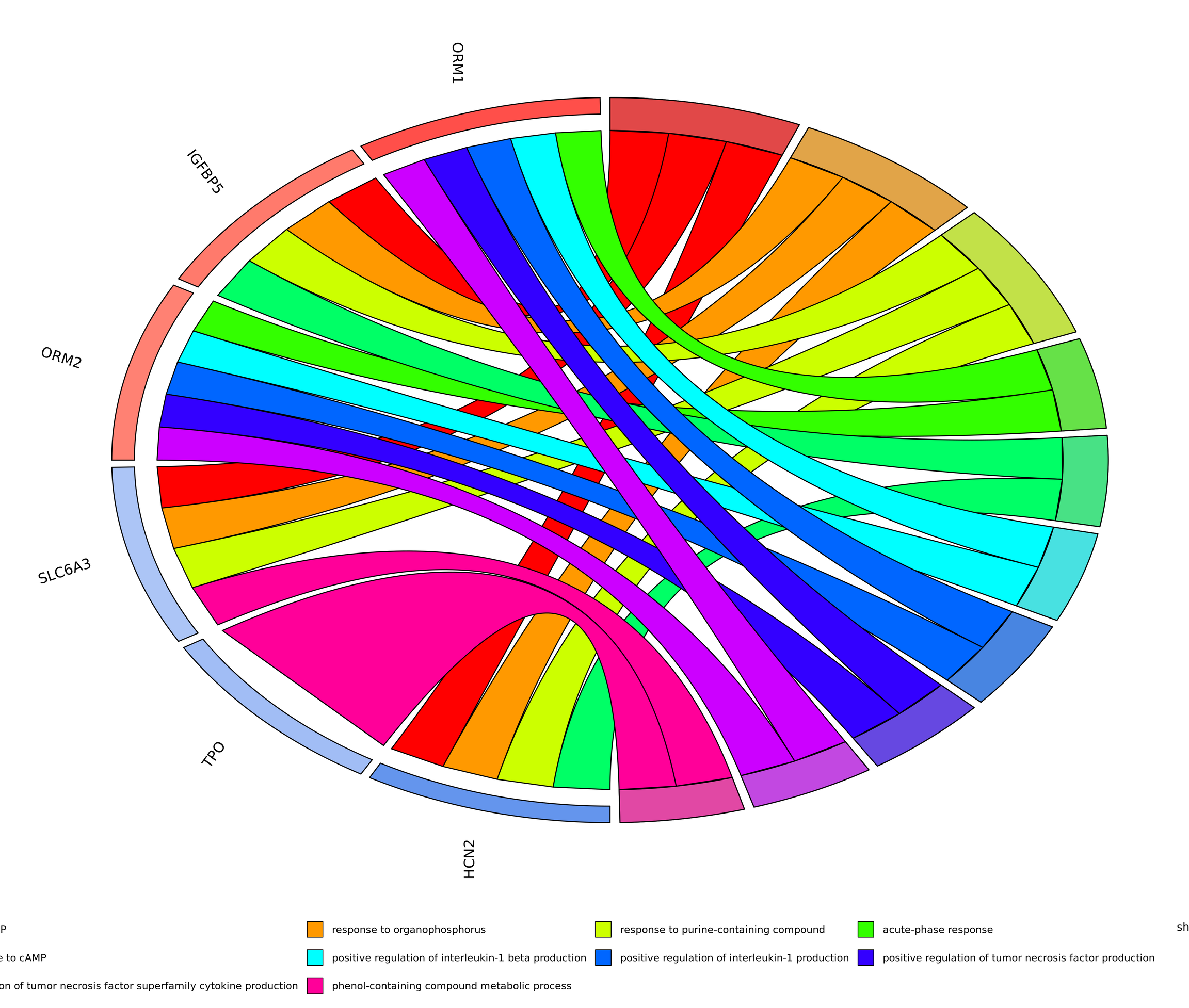 GOchord Diagram